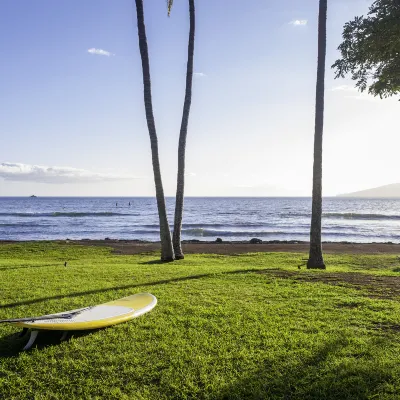 Отзывы об отеле The Ritz-Carlton Maui, Kapalua