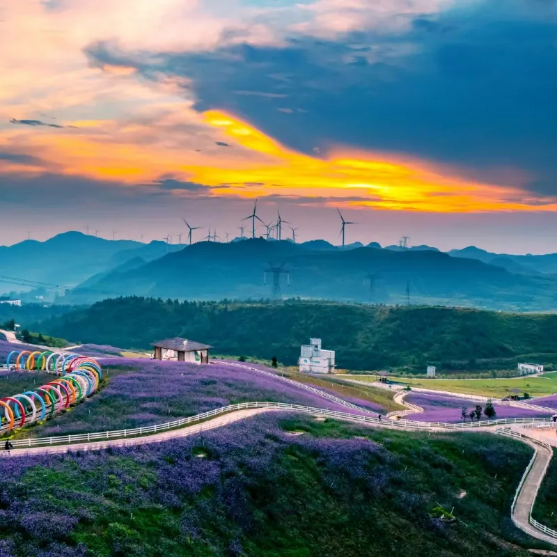 花溪高坡雲頂花海