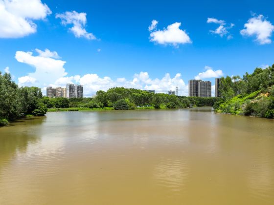 瑞雲湖公園