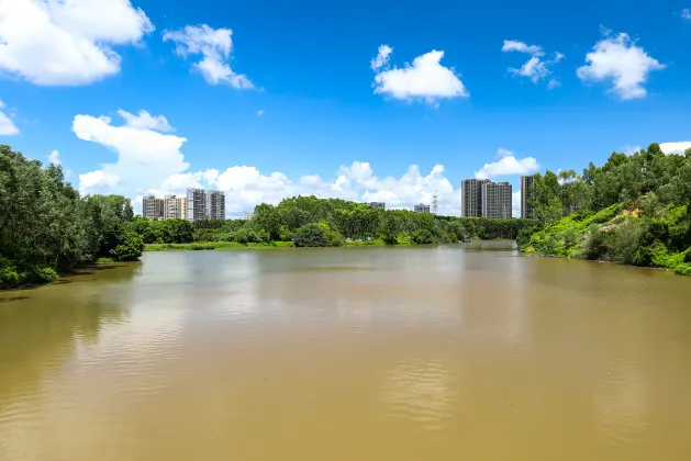 海南航空 飛 湛江