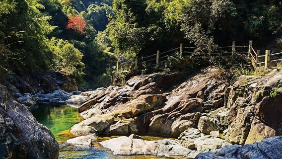 Wonders of Stone River