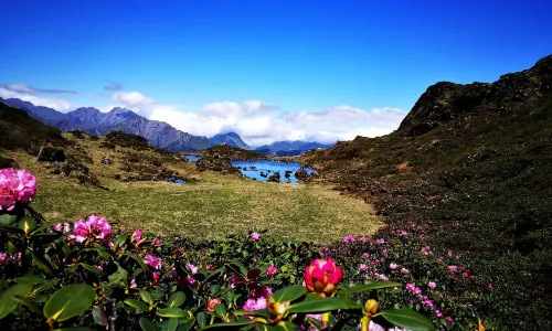 Erlang Mountain National Forest Park