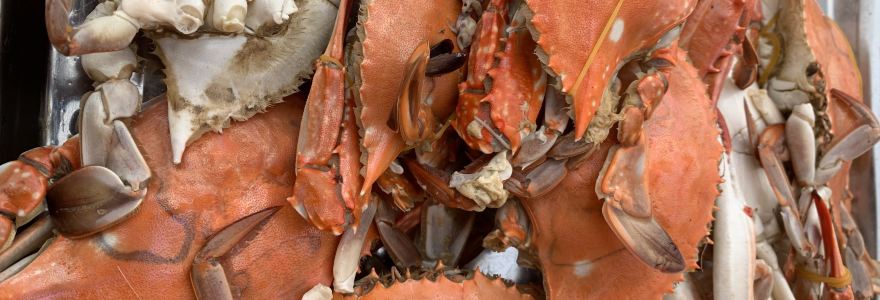 CHONG SHUN HAI XIAN FAN DIAN