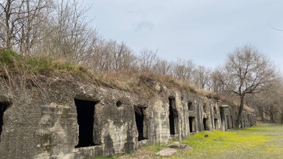 sheng shan yao sai guo jia sen lin gong yuan