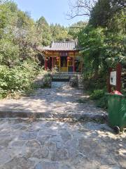 위룽산 삼림공원