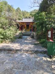 Jinan Panlongshan Forest Park