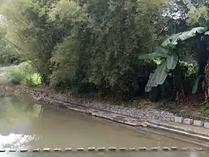 Stone Jump Bridge