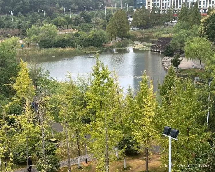 Hongxingshequ Park