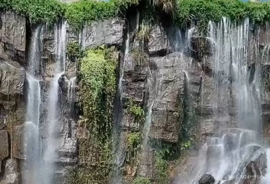 Xiawan Forest