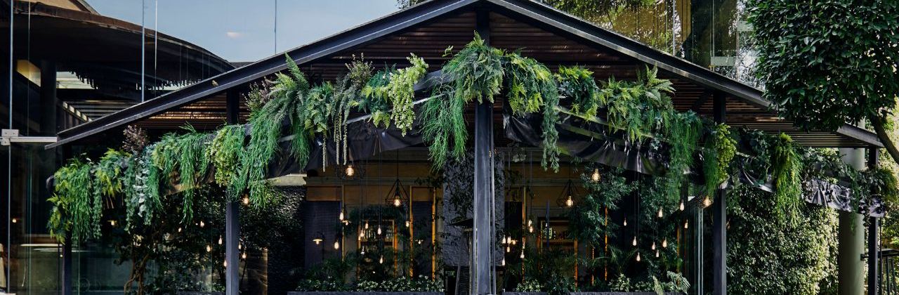 Nueve Nueve Bistro Mexicano