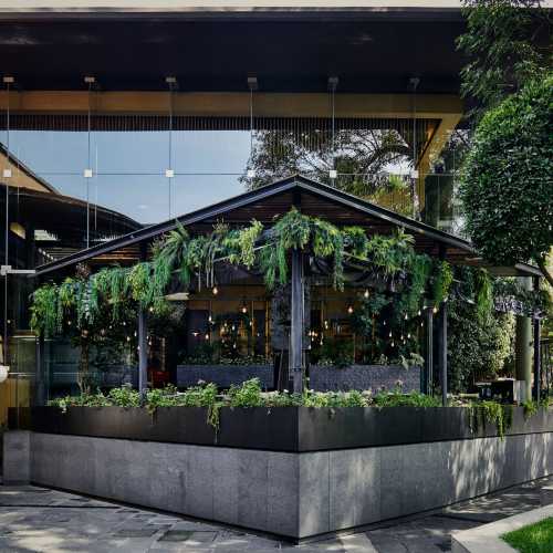Nueve Nueve Bistro Mexicano