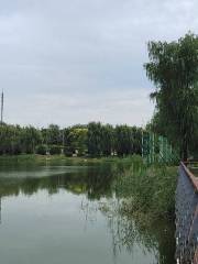 郗鑒湖公園