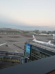 Tokyo International Airport International Terminal Observation Deck