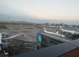 Tokyo International Airport International Terminal Observation Deck