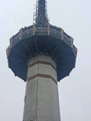 Rotating Observation Hall, Broadcasting and Television Launching Tower