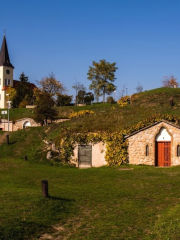 Wine cellars