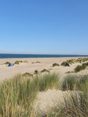 Renesse Strand