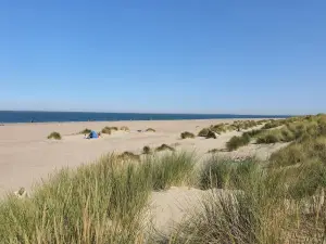 Renesse Strand