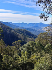 South East Forests National Park