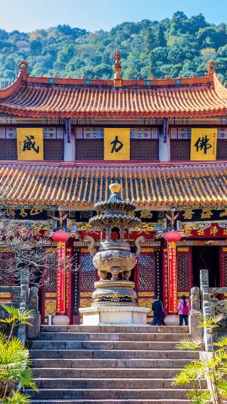 Foreign Tourists: Kunming City Private Tour with Customized Itinerary