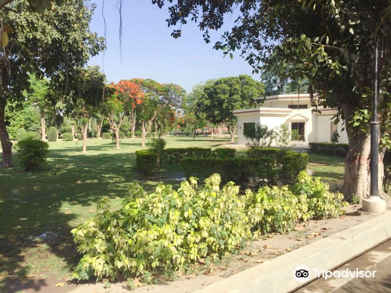 Guangzhou to Faisalabad Flights
