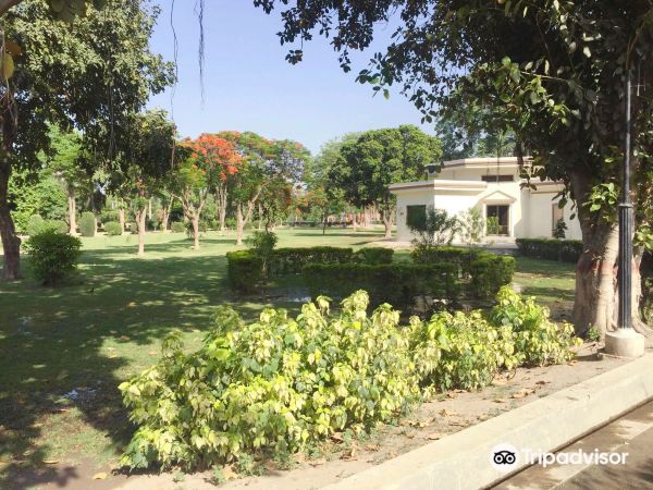 tiket pesawat Dakar ke Faisalabad
