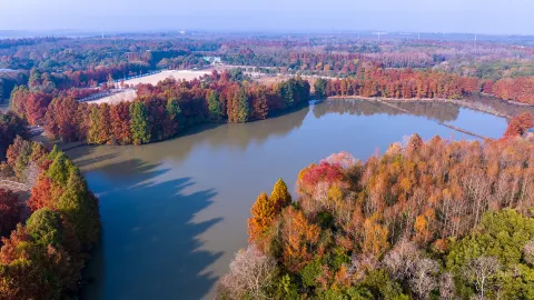 Shanghai Haiwan National Forest Park attraction in Shanghai