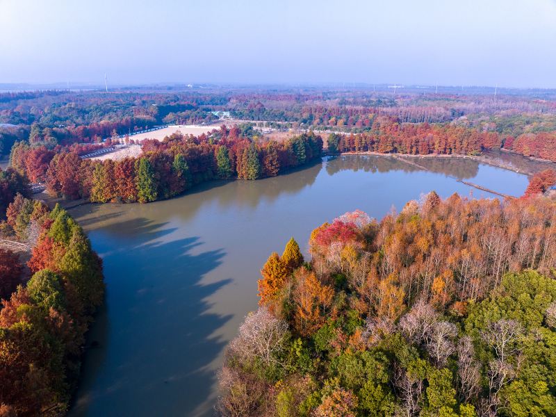 Shanghai Haiwan National Forest Park