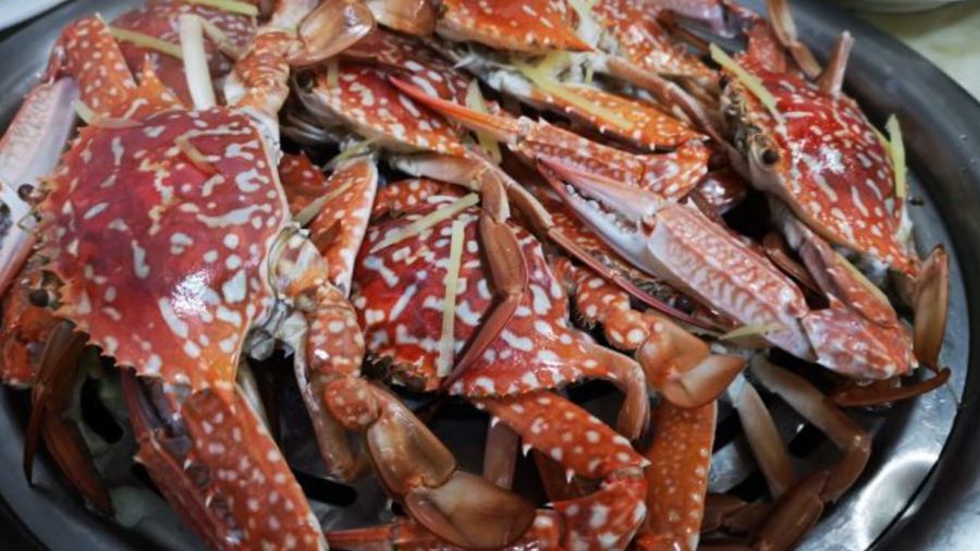 蒸食膳蒸汽海鲜(紫荆街店)