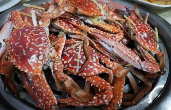 蒸食膳蒸汽海鮮