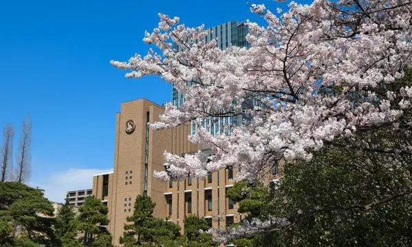 Tohoku University Katahira Campus