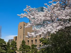 Universität Tōhoku