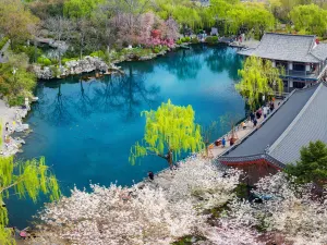 The Best Spring In The World