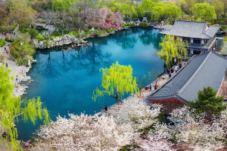 Trip.comで済南の人気ホテルを探そう!