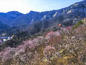 청암사 관광지