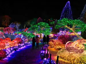 Điểm vui chơi về đêm Phổ Biến Tại Chuncheon