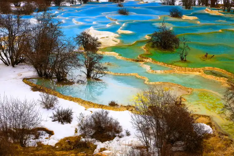 Hotels near Five-Color Pond