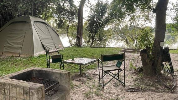 Zambezi Palm Question mark camp site