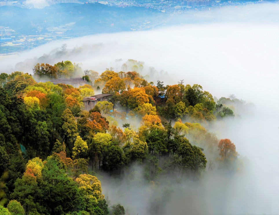 Gushan (Drum Mountain) Scenic Area Tickets [2025] Promos, Prices