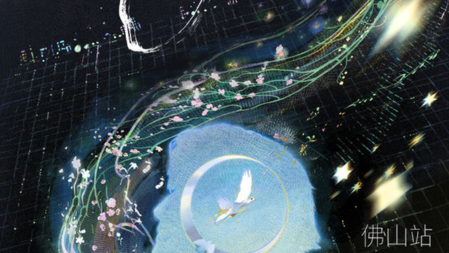 Foshan | Bird Concert Tour