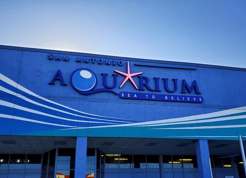 San Antonio Aquarium
