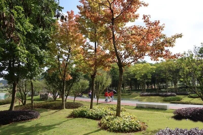 Hongshan Lake Civil Park