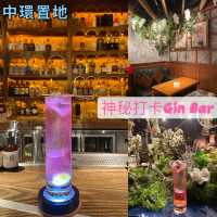  中環置地｜神秘打卡Gin Bar