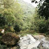 Picnic at Juanda Forest Park