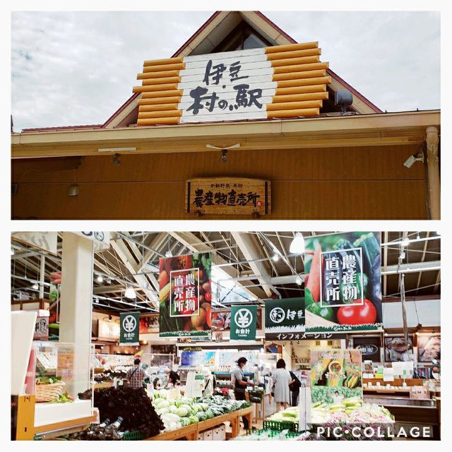 【静岡】伊豆村の駅～農産物直売所～