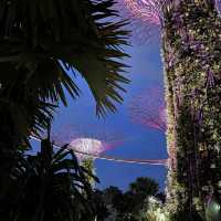 The GARDEN BY THE BAY