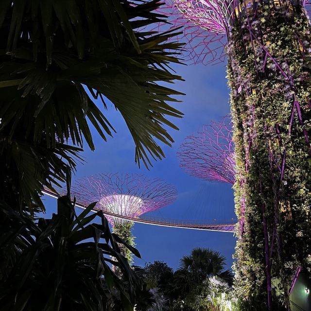 The GARDEN BY THE BAY