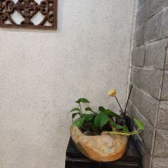鹿圣酒家(原名阿二靓汤) User Photo