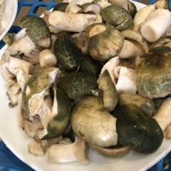 Jingchuan Wild Mushrooms Restaurant User Photo