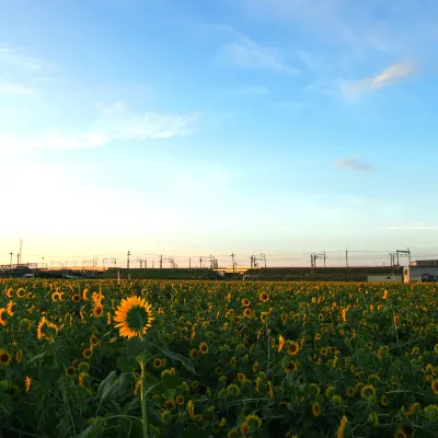 広島⇒東京 飛行機